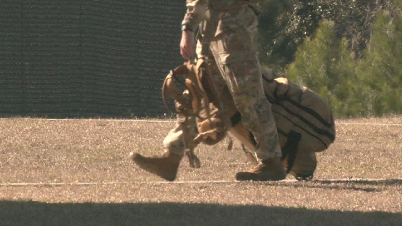 North Carolina National Guard infantry battalion plans to deploy after Raleigh send-Off