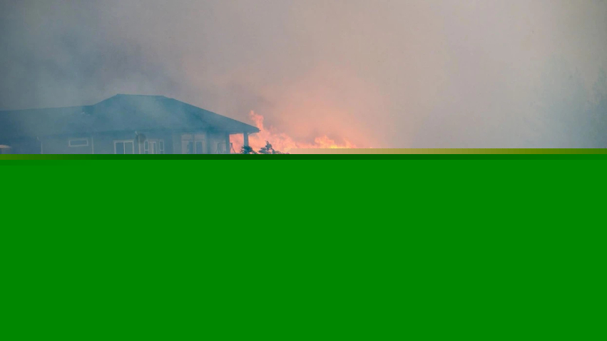 Zjarre masive në Washington, digjen 600 shtëpi dhe biznese - evakuohen mbi 60 mijë banorë