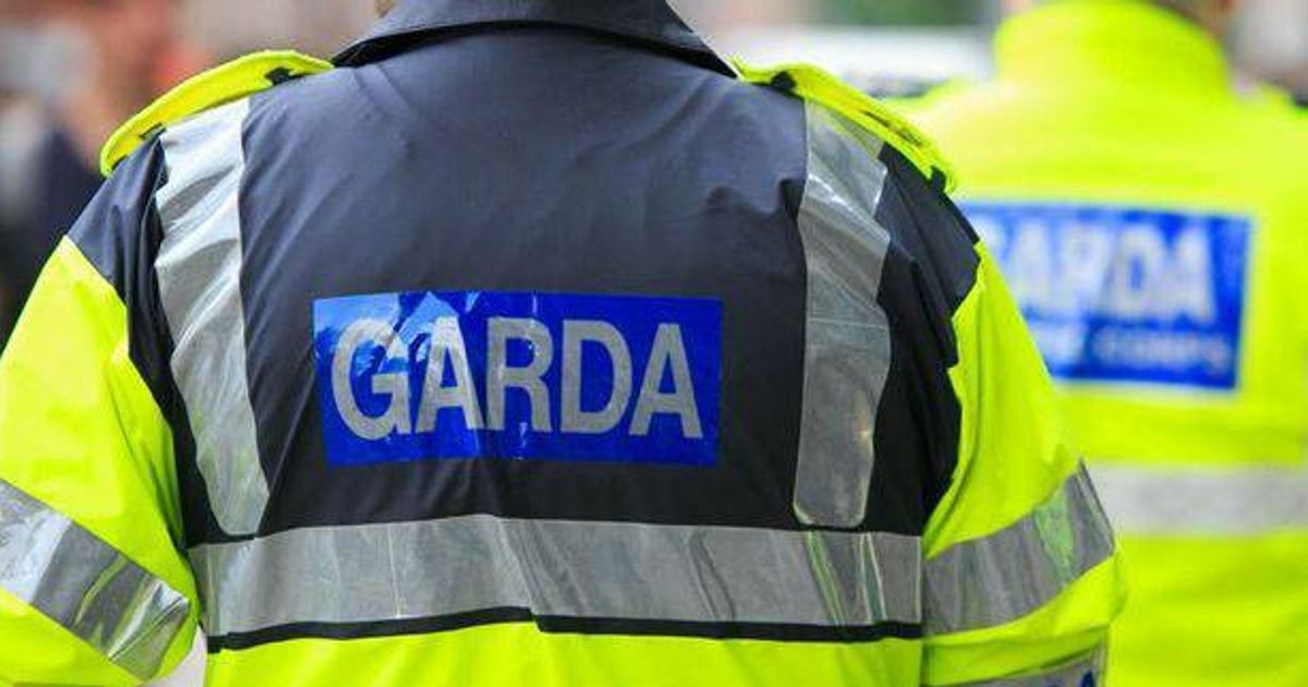 Infant boy rushed to hospital with serious injuries after horror dog attack in Kilkenny
