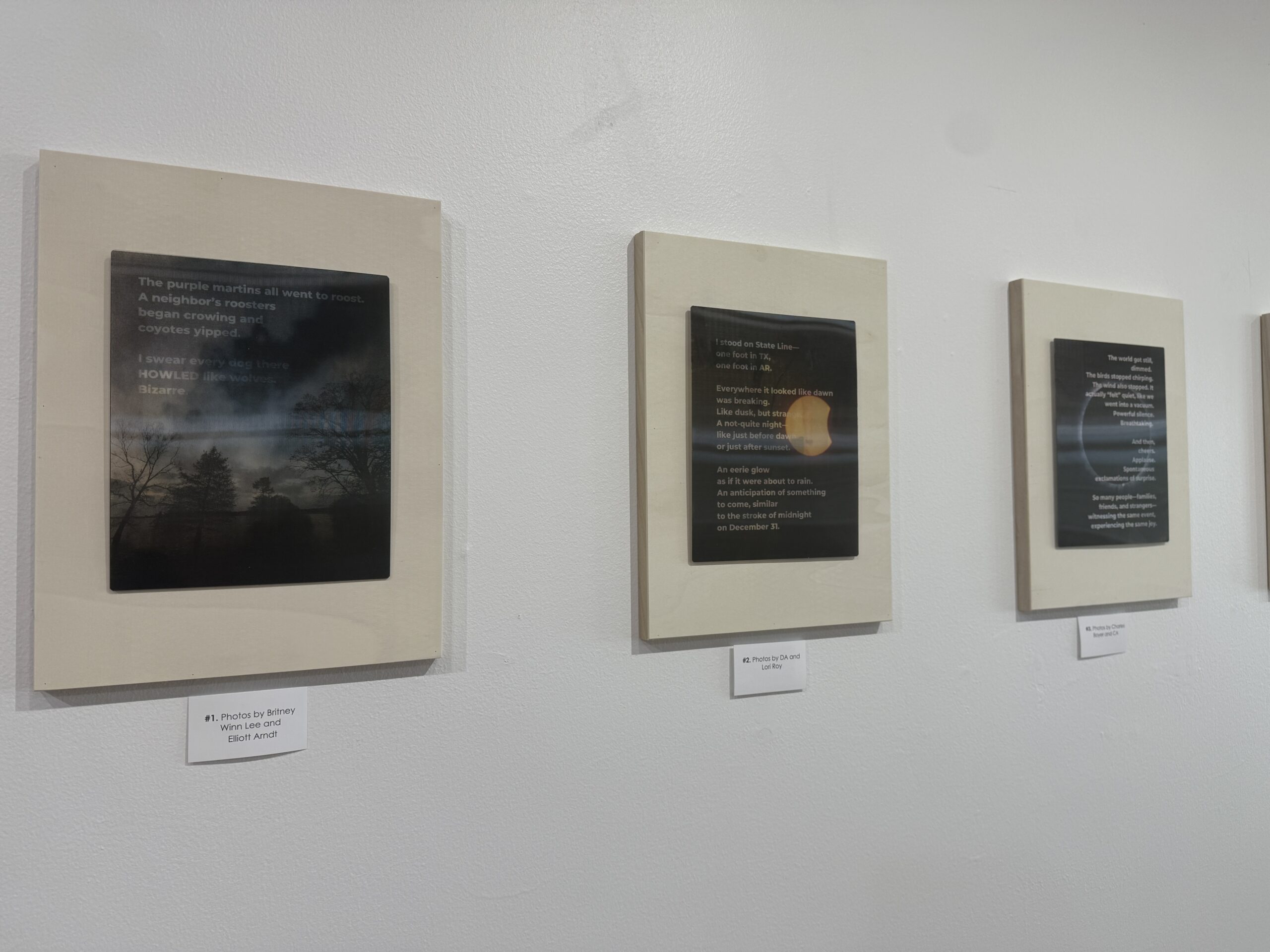 In the Shadow of Edmund Halley: Solar Eclipses, Citizen Science, and Qualitative Dataviz
