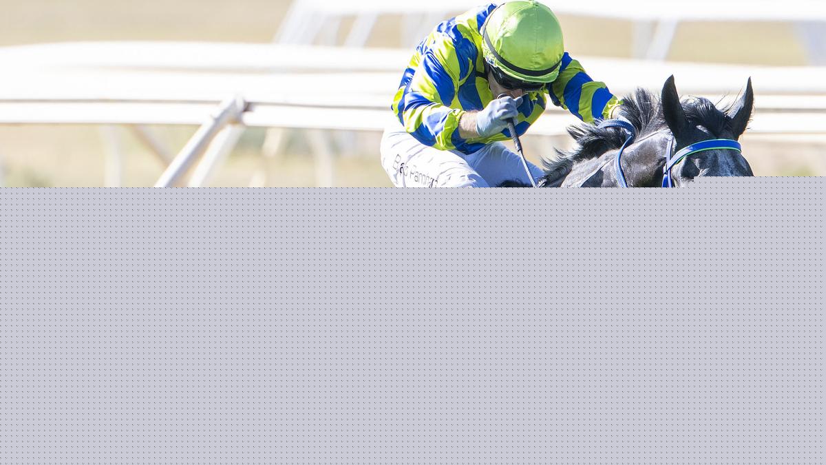 Connections left scrambling for replacement jockeys at Belmont meeting after Chris Parnham is ruled out