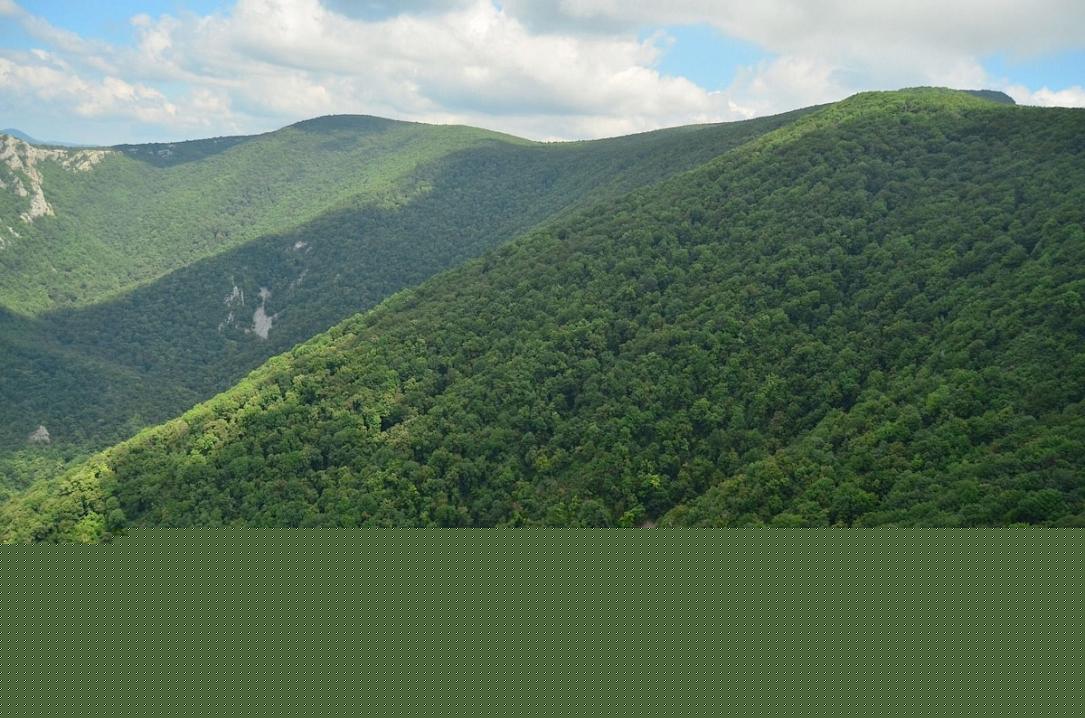 Romania exceeded PNRR target for afforestation, reforestation, and new urban forests