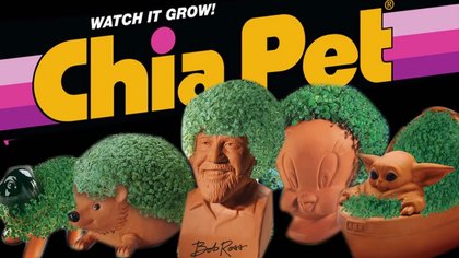 Chia Pet Is Sprouting an Animated Movie or TV Franchise