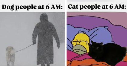 26 Purrfect Memes for Cozy Cat Lovers Who Need a Day Off and a Meowrning in Bed