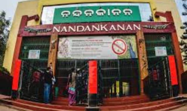 World Elephant Day Observed at Nandankanan with Awareness Programmes