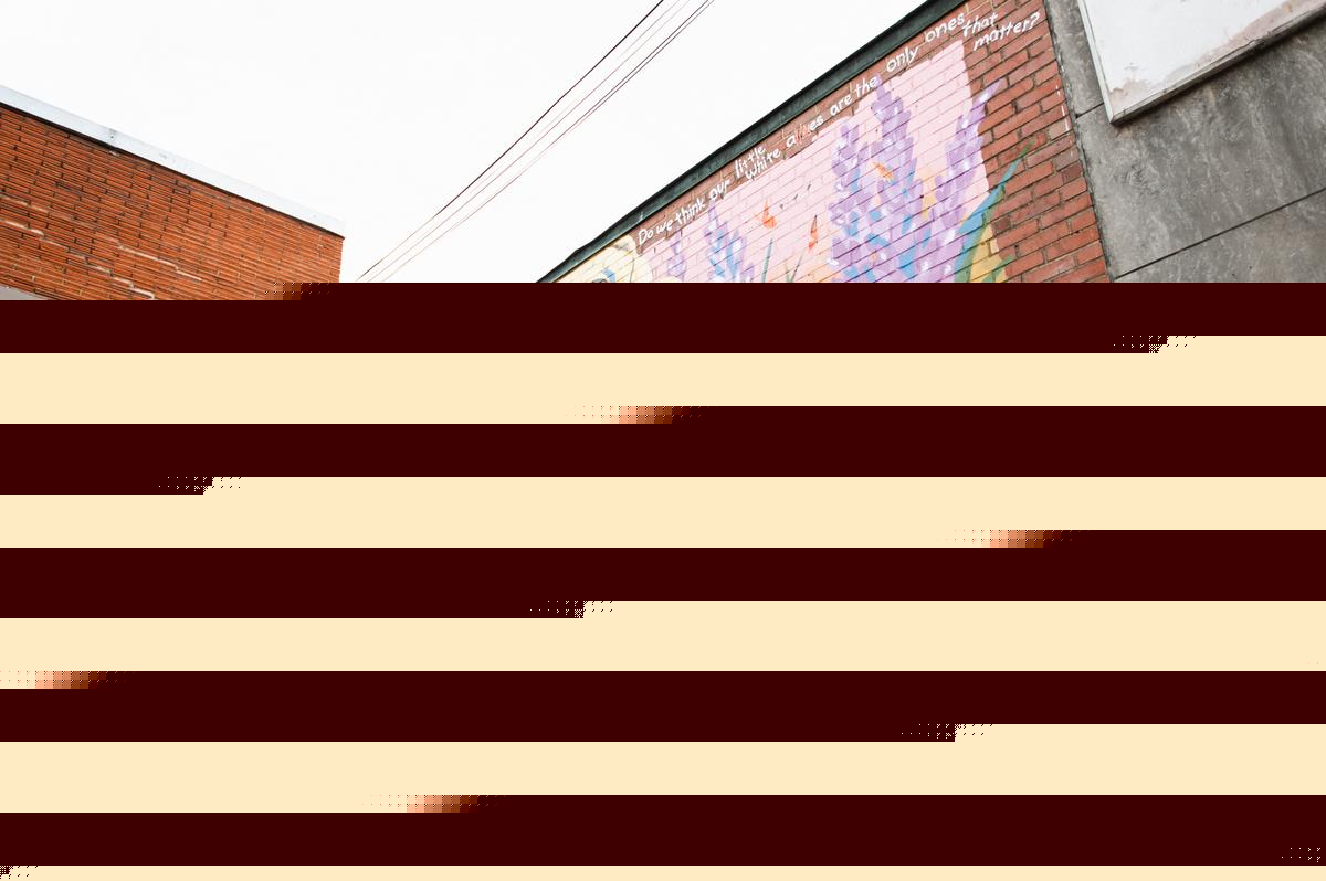 Dolly Parton Mural Vandalized In Nashville