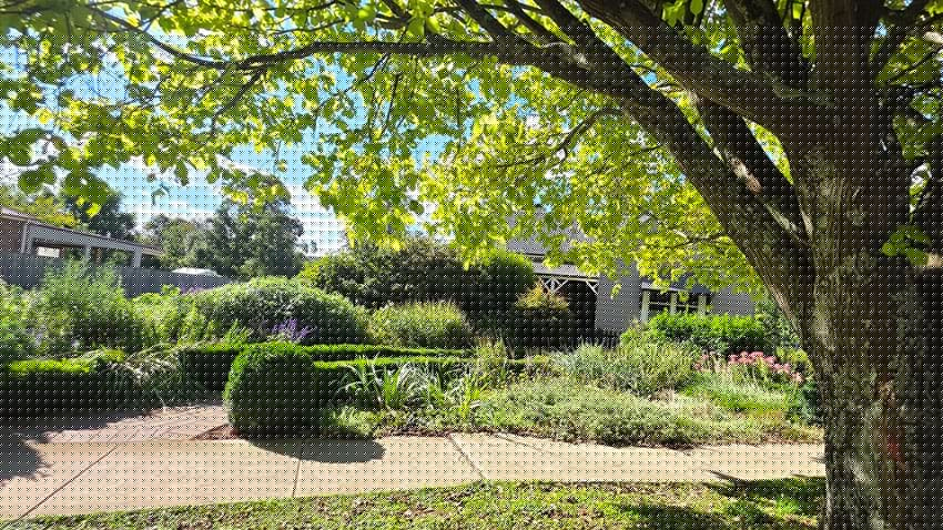 The Liability Growing Quietly on Your Land: Why Trees Belong on the Risk Register