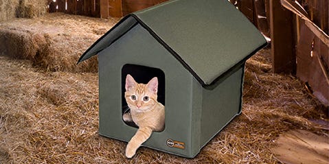 7 Best Outdoor Cat Houses for Shelter From the Weather