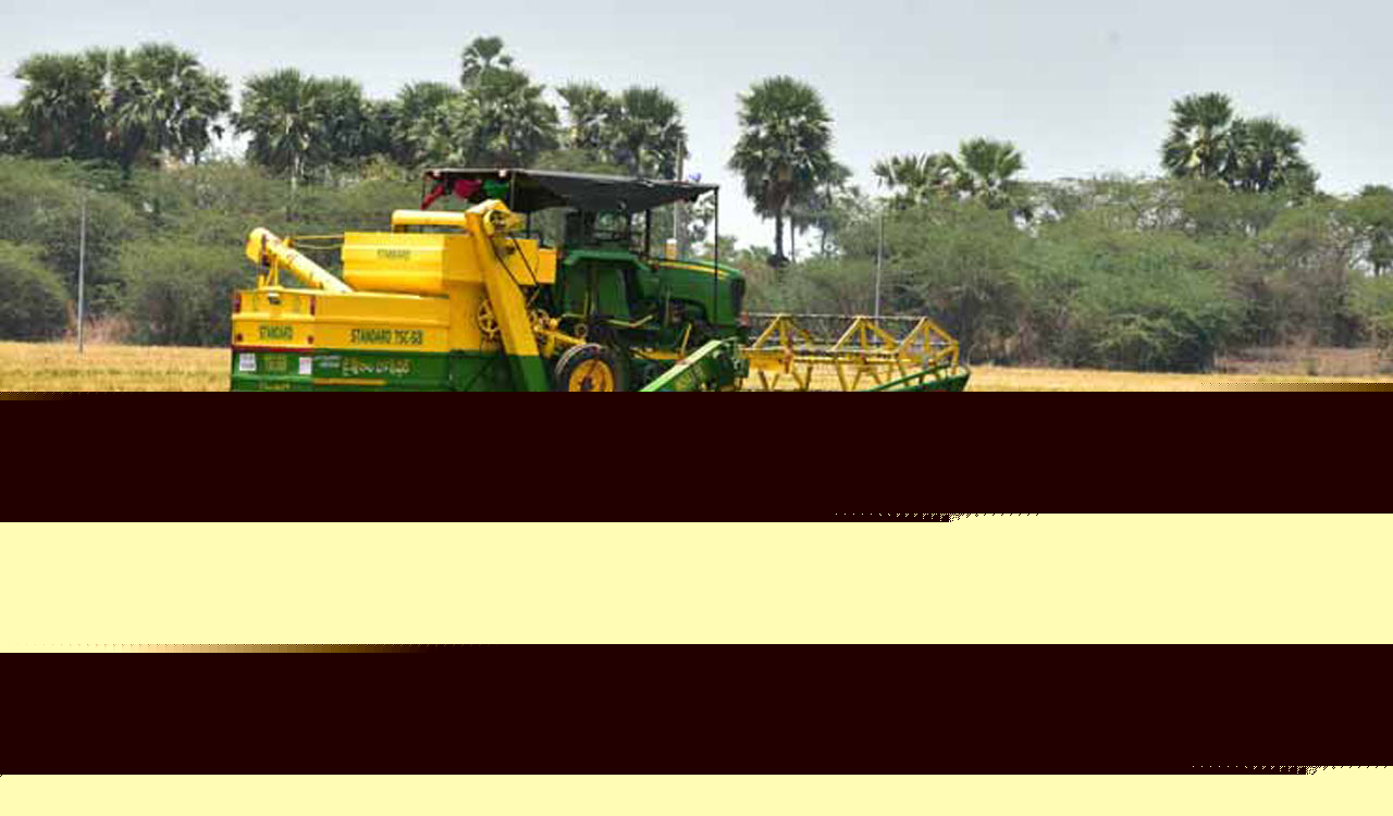 Telangana crop area rises 10 per cent despite El Niño impact