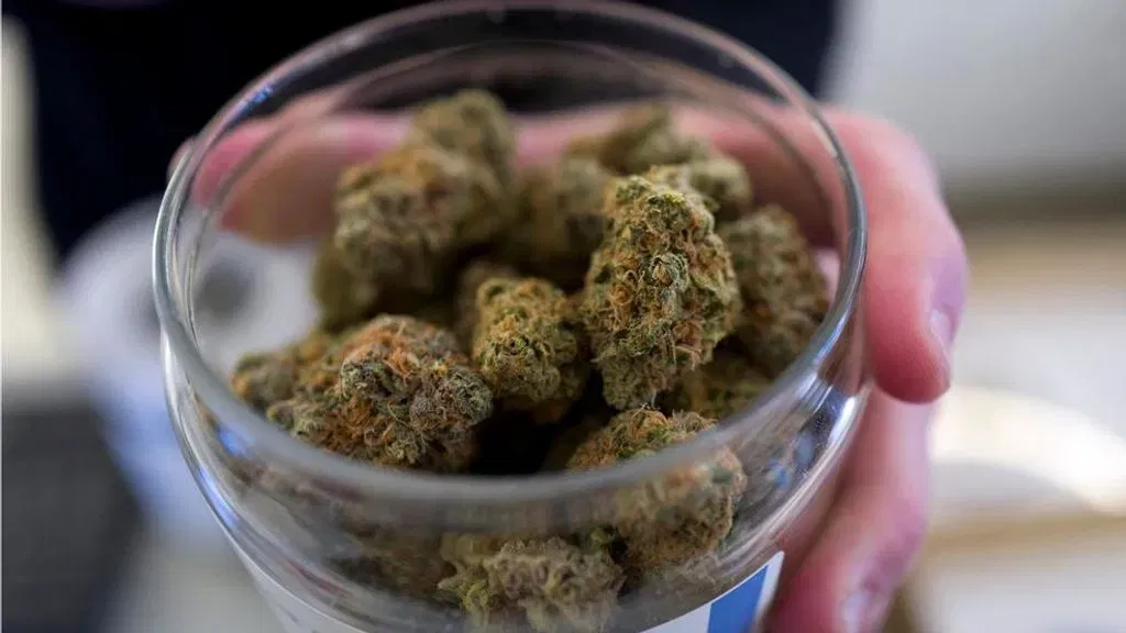 Virginia Election Will Likely Decide Whether the State Finally Legalizes Cannabis Sales, Early Voting Now Underway