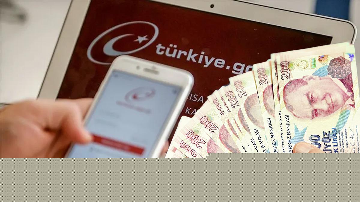 e-Devlet'te erişime açıldı: Unutulan hesap ve para için yeni hizmet