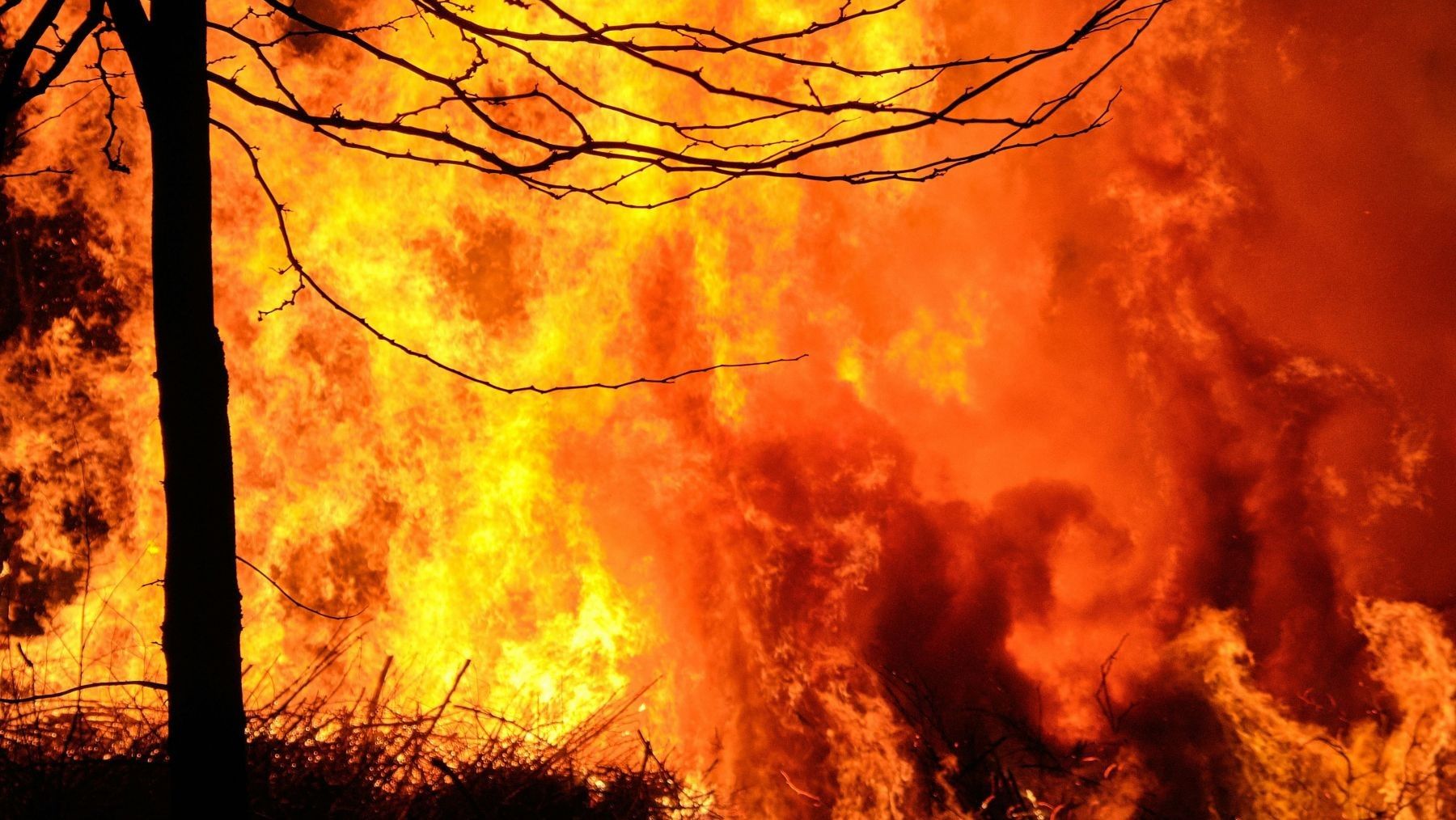 Los incendios en la Patagonia argentina arrasan más de 45.000 hectáreas sin control