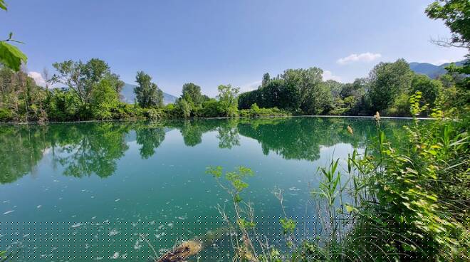 Zone umide, 64.000 euro a enti gestori per il monitoraggio delle acque
