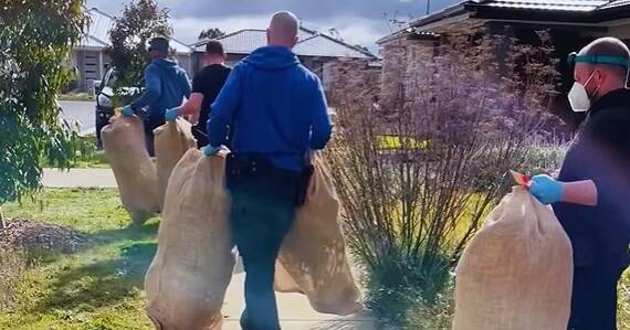 Police seize large number of cannabis plants from Winter Valley 'grow house'