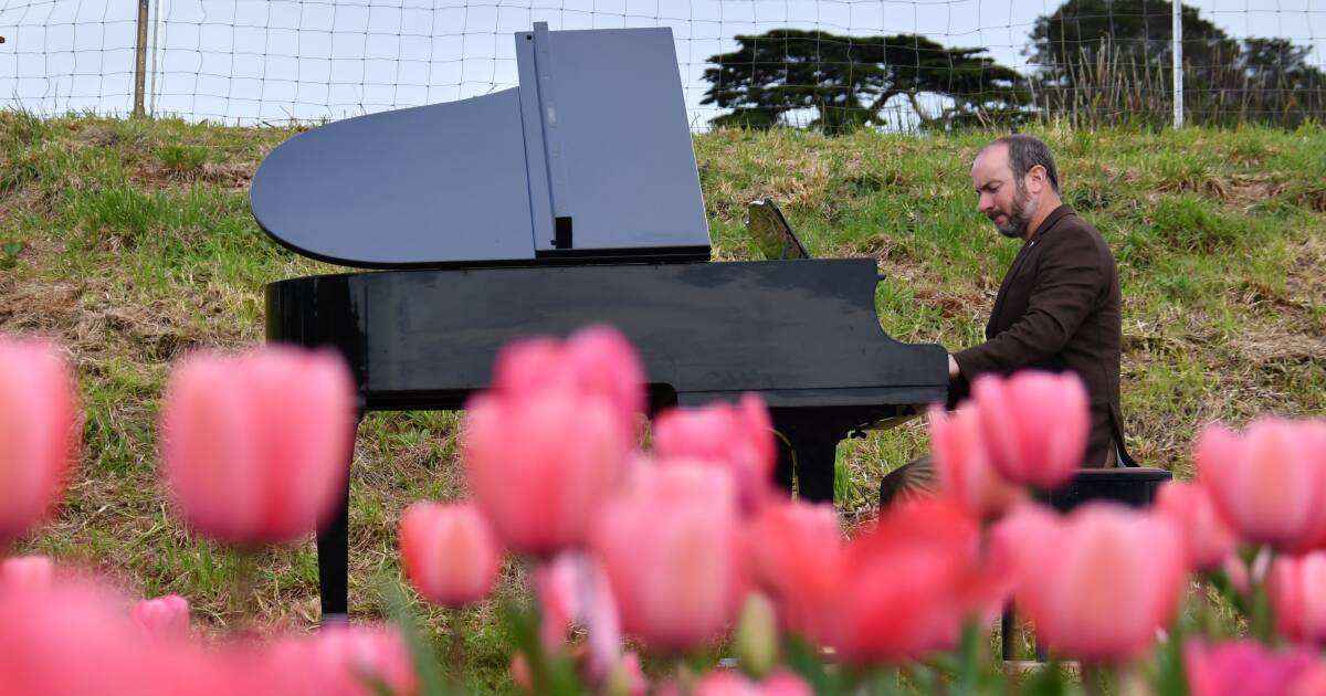 Why tip-toe through the tulips? Kelvin's playing the piano amongst them