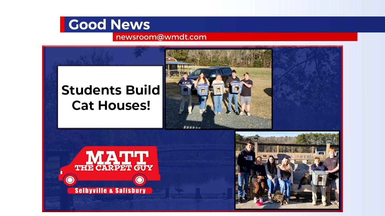 Stephen Decatur Students Build Cat Shelters