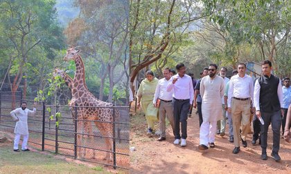 Pawan Kalyan Adopts Two Giraffes From Vizag Zoo On Mother's Birthday