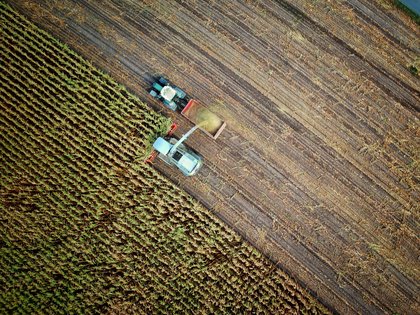 Heritable Agriculture wins $5m Gates grant to advance AI-driven climate-resilient crops