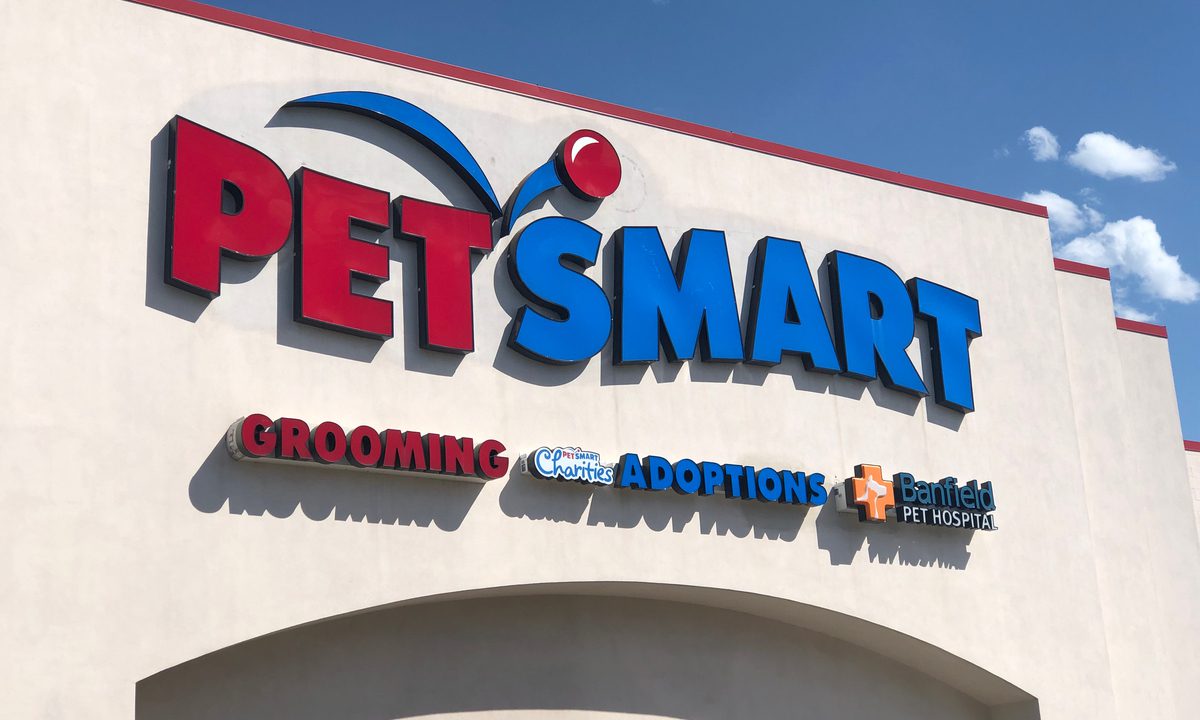 PetSmart Used AI to Drive a 22% Lift in Salon Bookings