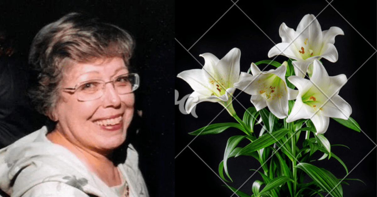Donna Hansen, 86, of Racine – Obituary