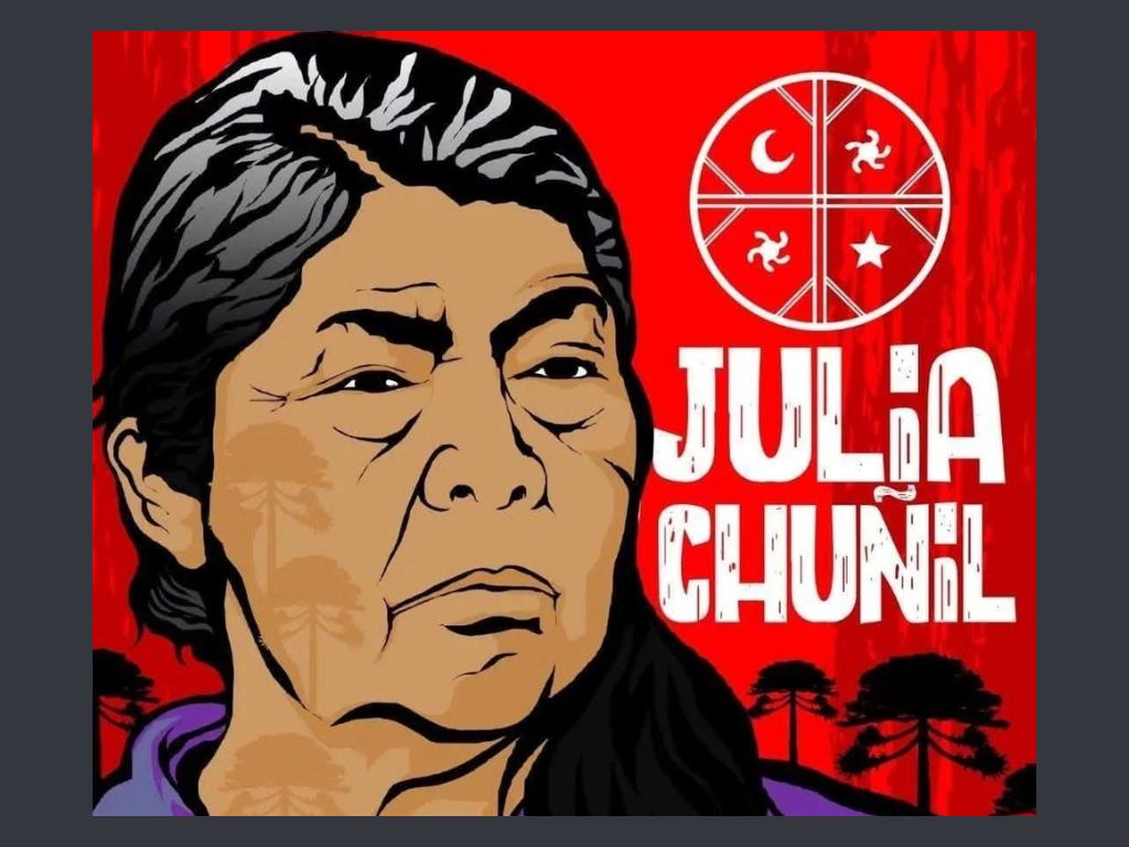 Julia Chuñil: INDH incorporará escucha telefónica a su monitoreo y pide indagar todas las hipótesis