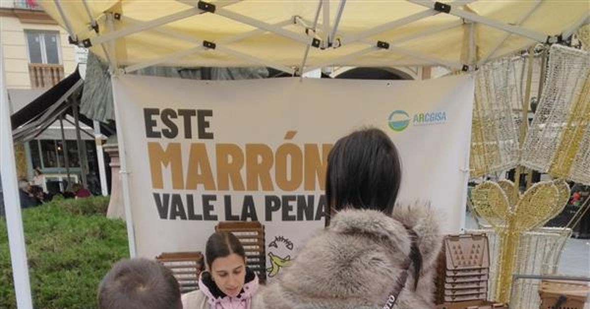 Buena acogida en La Línea de la campaña para la implantación del contenedor marrón
