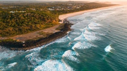 Beach closed after shark knocks surfer off board
