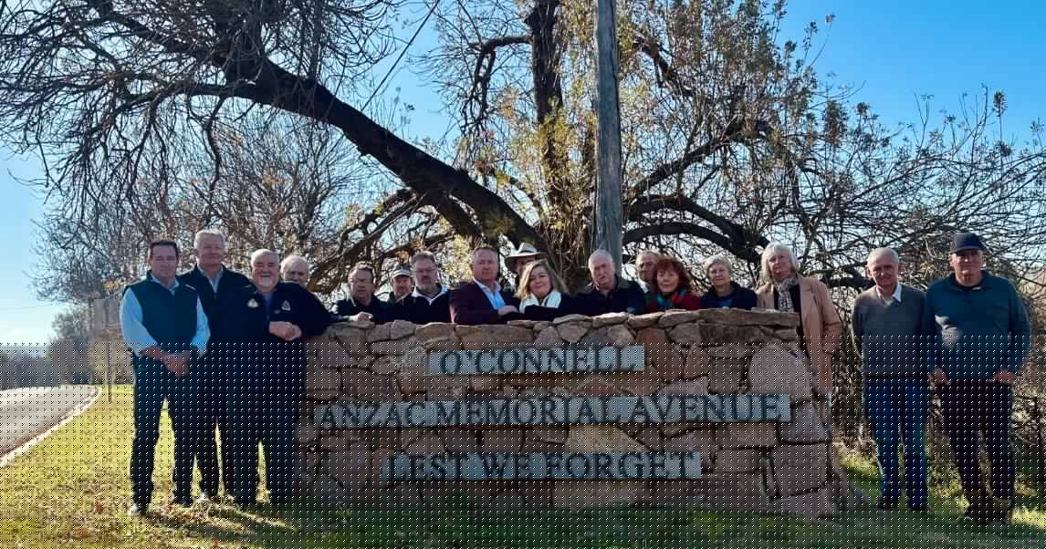 Mega-convoys, tree clearing and 240m towers: bumper wind farm faces crucial test
