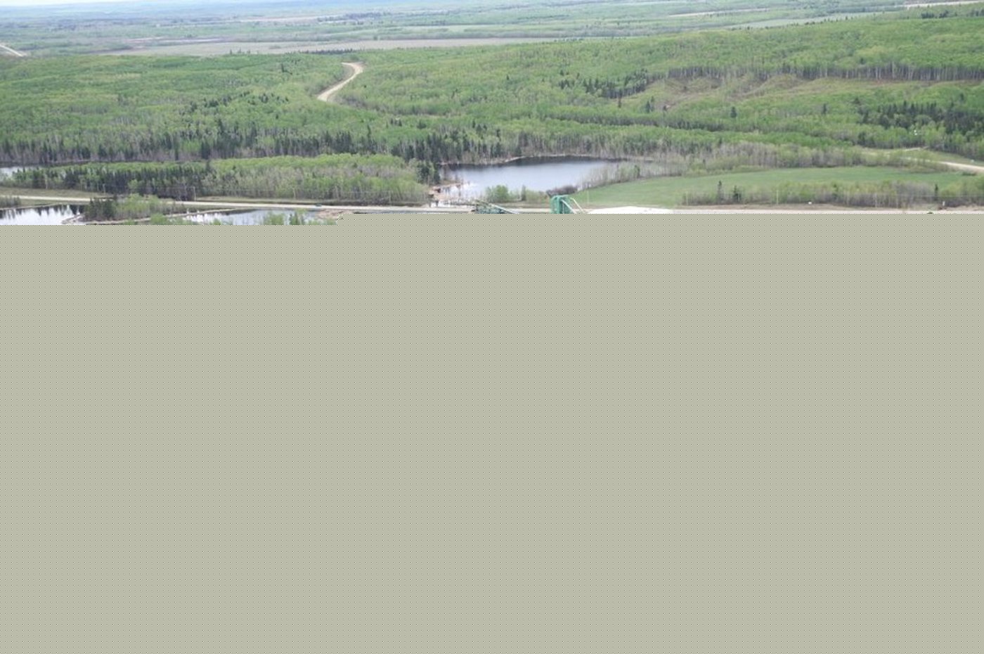 NDP questions Moe trip as province defends forestry response