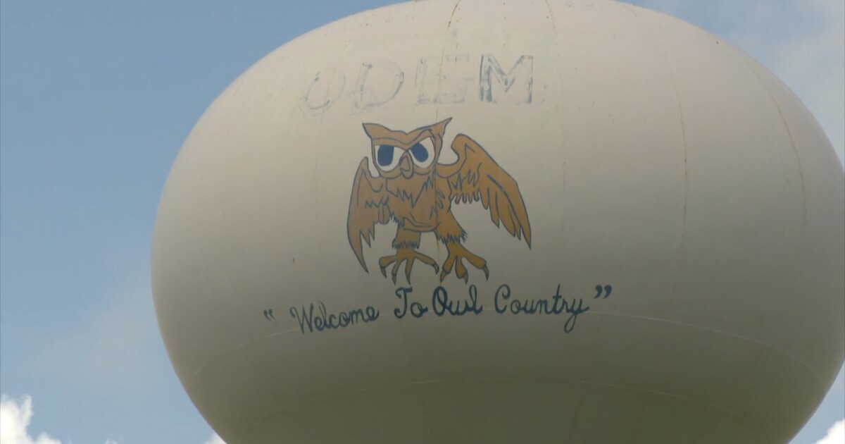 Odem city leaders explain humane traps after residents raise questions