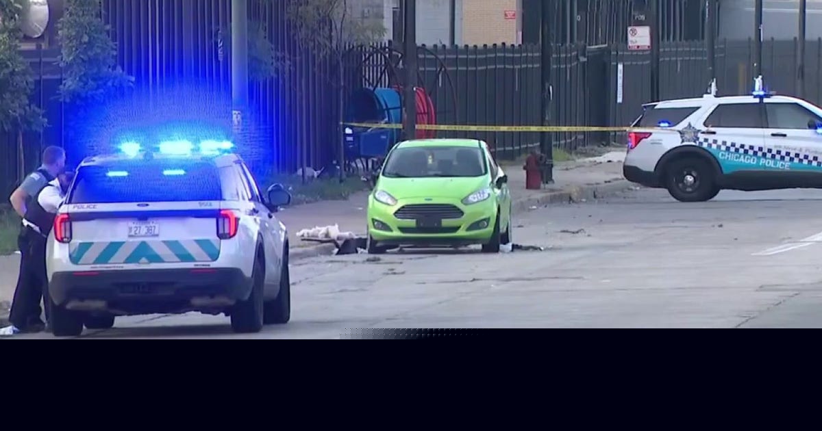 Chicago police: Man shot near Dan Ryan in South Loop