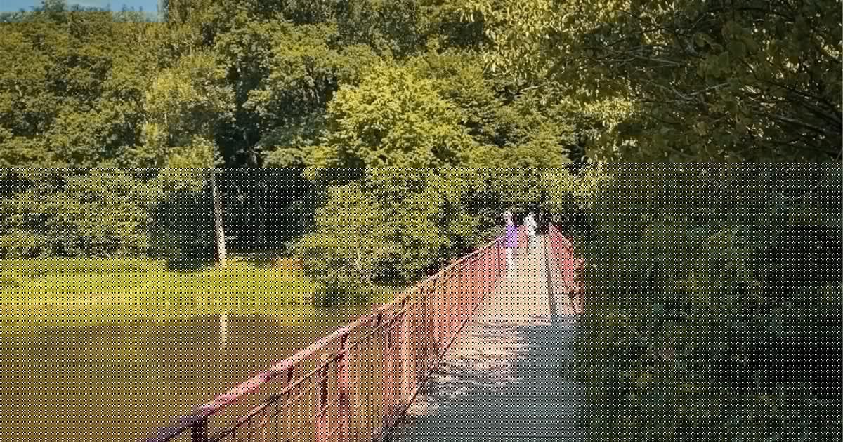 Le co-directeur du Parc National de la Vallée de la Semois suspendu : une décision proposée au conseil d’administration par le principal intéressé
