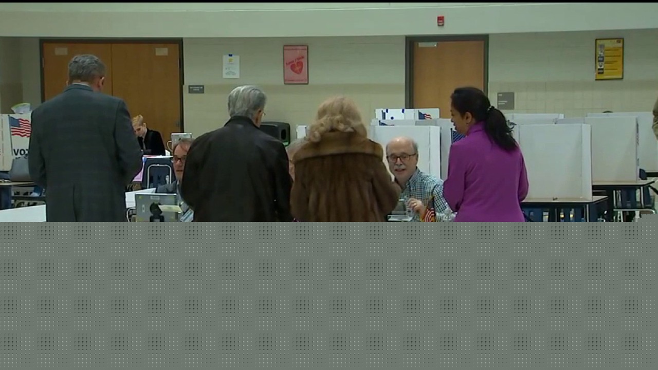 Primary Election: Reviewing Metro Detroit millages on the ballot