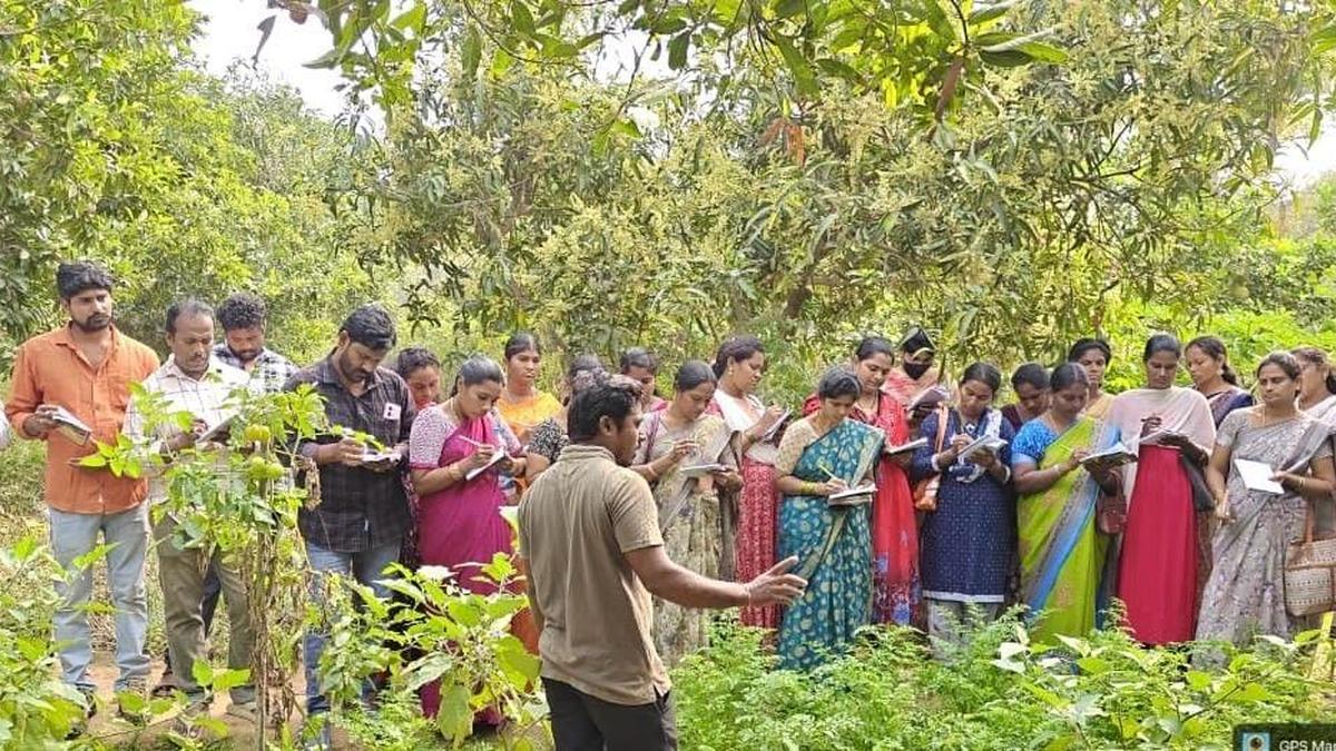 Natural farming shown as a way for sustained income