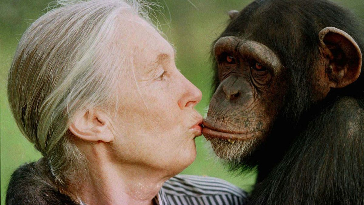 Jane Goodall: Die Grande Dame des Naturschutz ist tot
