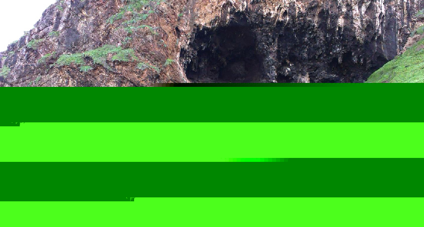 Comment on Cave debris may be the oldest known example of people eating starch by URL