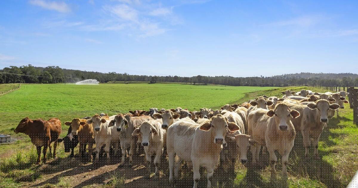 Elite irrigation, hay production country for 800 cattle asking $10 million