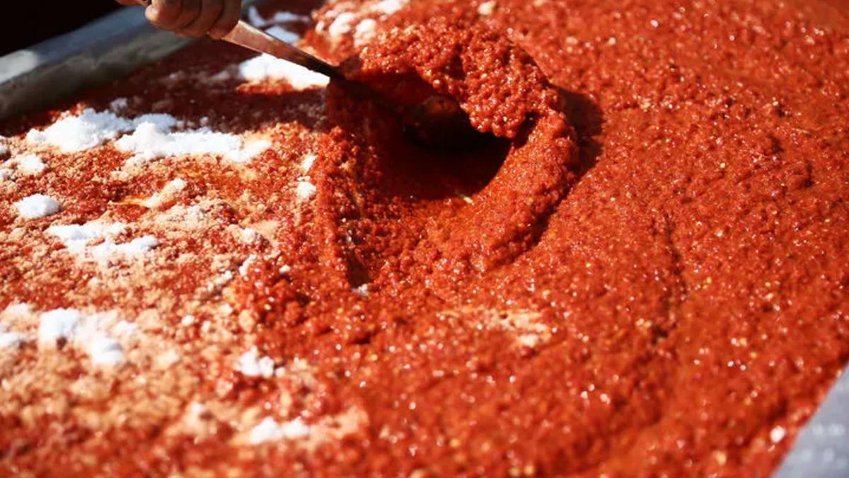 Talep yağıyor! Bu sene Hollanda'ya 500 ton gönderilecek