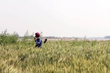 Trump imposes tariffs as US-India farm talks stall