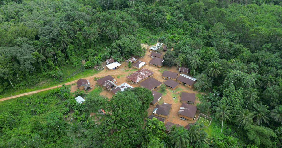 Liberia's largest gold miner repeatedly spilled dangerous chemicals, records show