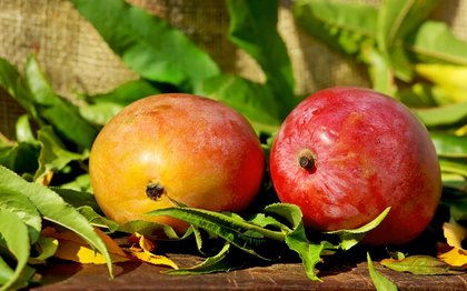 Agronometrics in Charts: Piura mango industry under strain as market conditions worsen