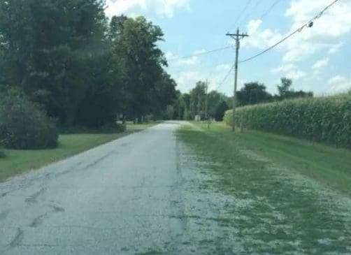 Comment on Ohio: Regulations On Blowing Lawn Clippings Into Roadway by J