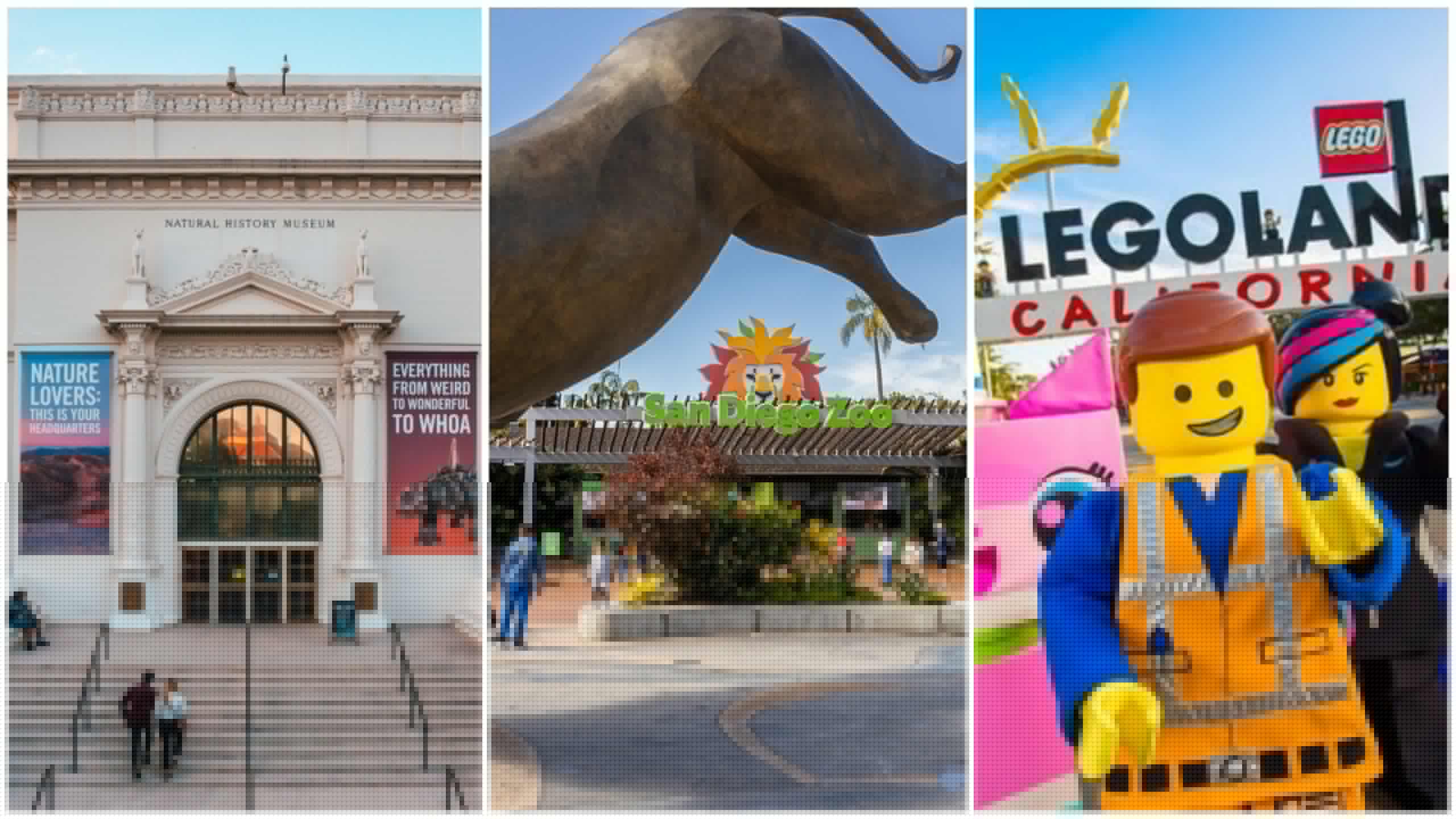 Más de 60 museos y atracciones participan en Kids Free San Diego 2025