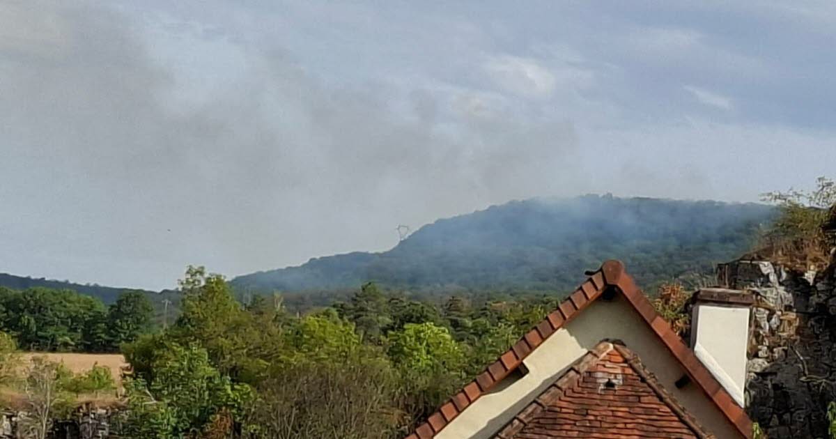 Fleurey-sur-Ouche. Incendie de feuillus : plus de 40 pompiers déployés