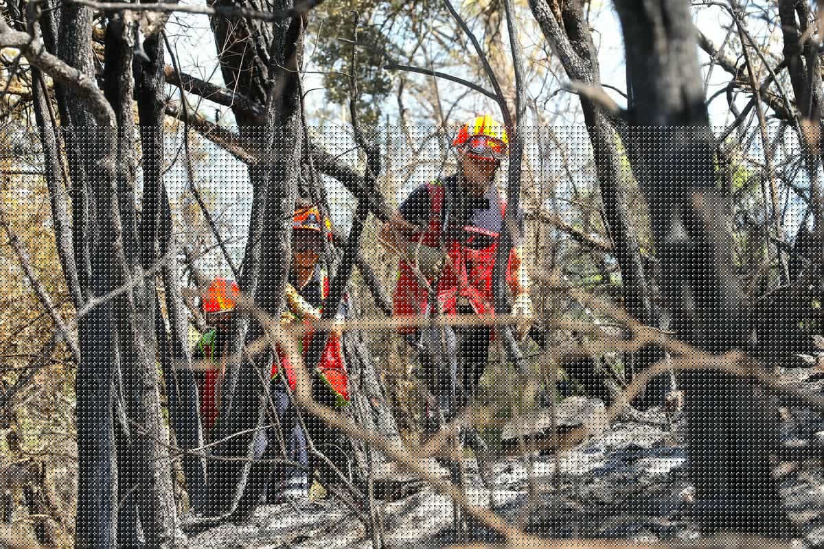 Incendies dans le Var : l’un des quatre pompiers blessés sur le feu de Brignoles vient des Alpes-Maritimes, on vous donne de ses nouvelles