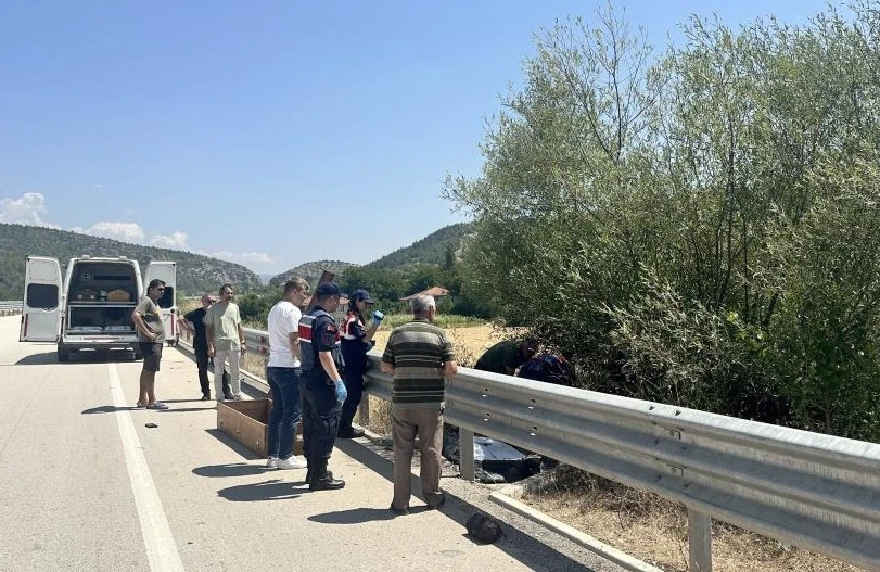 Otomobilin çarptığı bisikletli ağacın altında ölü bulundu,