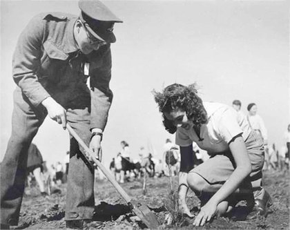 Tu B'Shevat: 'New Year for Trees' continues to flourish in Israel and abroad