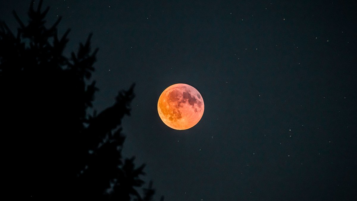 Éclipse solaire, Perséides, éclipse de Lune... Un mois d'août riche en événements célestes, des rendez-vous à ne pas manquer