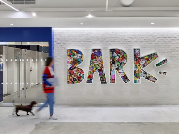 Bark names CFO