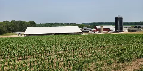 Rain brings welcome relief to farmers